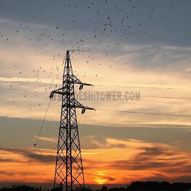 power transmission tower under rosy clouds